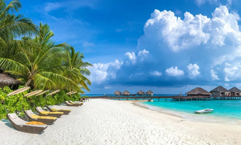 شاهد بالفيديو.. والي نهر النيل: (سنهتم بالسياحة ونجعل الولاية مثل جزر المالديف) 1 cc9df802 fa6d 4373 a8d4 b285f14bb181