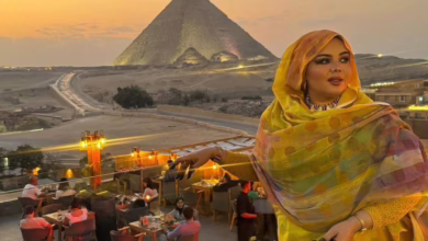 549902962 1361015032051491 7947980782213309714 n