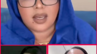 978fc425 5769 47bc 8344 e7fd3e64952e