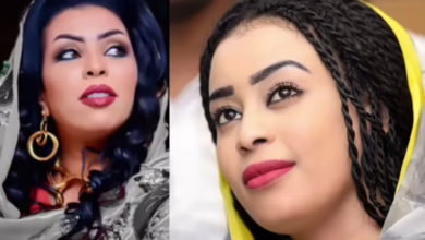 GridArt ٢٠٢٥٠٨٣٠ ٠٧٥٨٤٠١٦٠ scaled 1