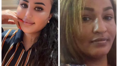 a6ec1f84 c110 406f a215 e3489a0392fa