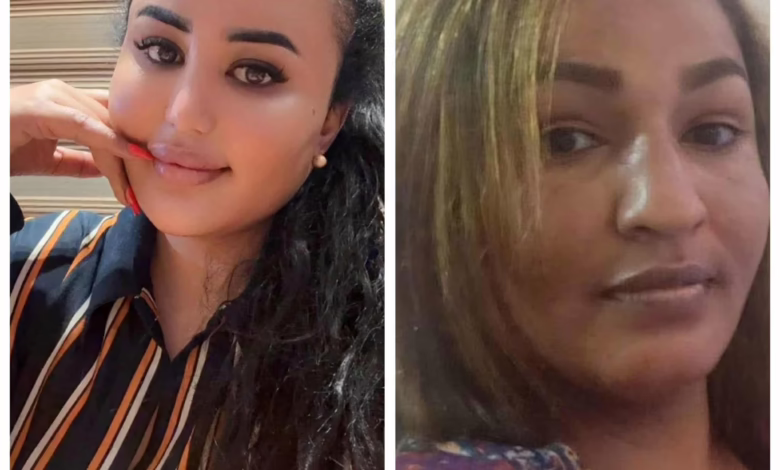 a6ec1f84 c110 406f a215 e3489a0392fa