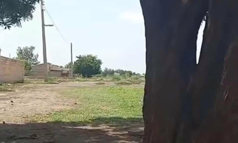 e75dc0c1 54e6 424d b34f 5a21b616f2f3