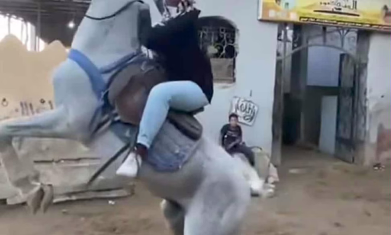 08d738d9 d37b 467b 94be e3ce3502e36e