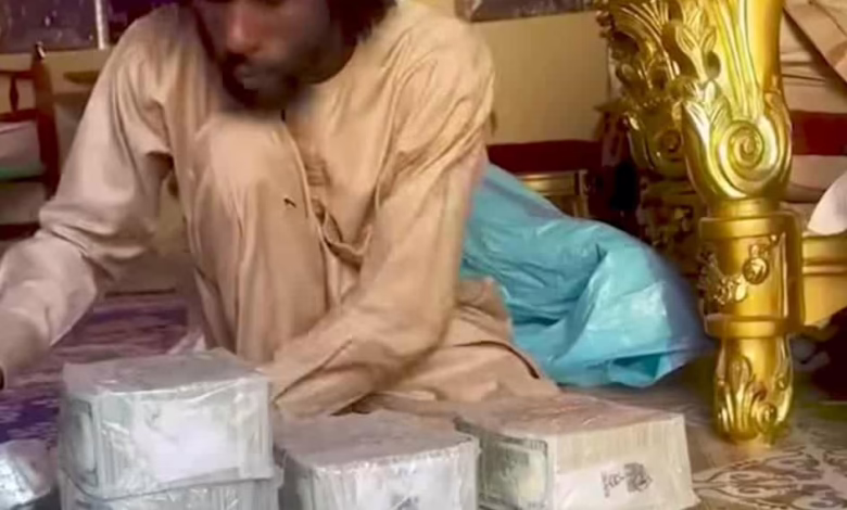 0aa47d2d 65f4 41c9 ac39 48ef67dc984d