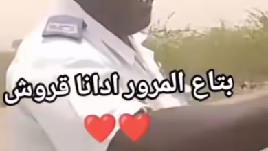 2428576b c6d9 4c2f a3d5 21f5a3322d26