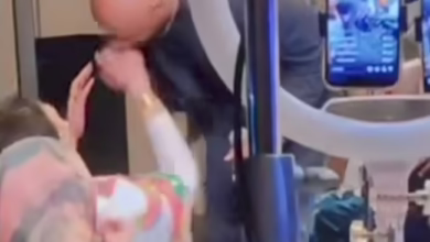 26ea3bc5 9d0a 4810 946d ea3d0ee313a5