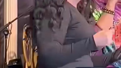 298a48fb 762b 4c0b 8e8d 113c9203ebd2