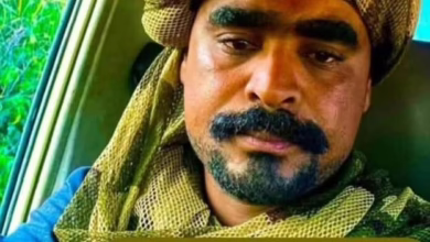 557186205 3928656154091642 5839256171146103399 n