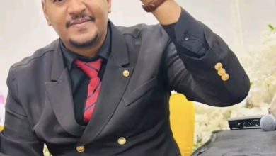 571158204 791719157088567 859493261201299056 n