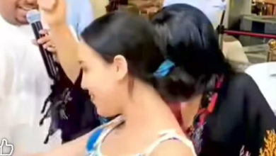 6e2571b7 e521 4359 933c 7ae0815a8e7c