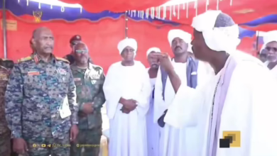 78333dd7 2595 44fd ba0f 01ea04a02869