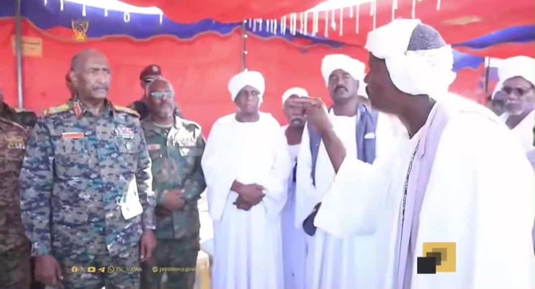 78333dd7 2595 44fd ba0f 01ea04a02869