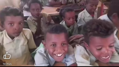 8a7b707a 8311 4826 bd57 b1a407c70429