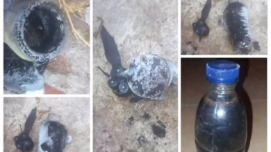 FB IMG 1759741319097