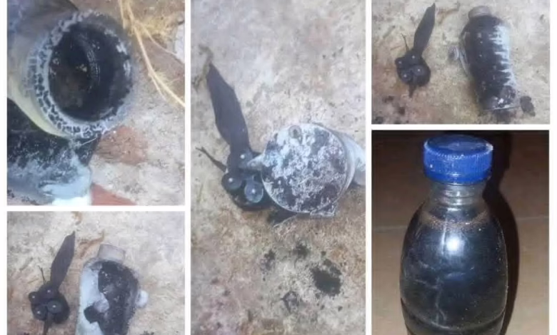 FB IMG 1759741319097