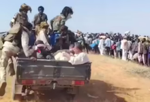 IMG ٢٠٢٥١٠٢٧ ١١٢٨٠١