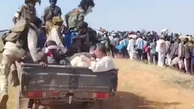 IMG ٢٠٢٥١٠٢٧ ١١٢٨٠١