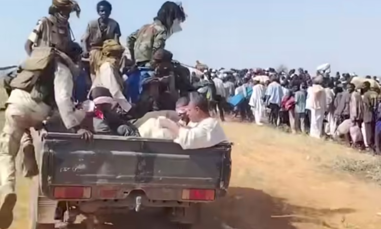 IMG ٢٠٢٥١٠٢٧ ١١٢٨٠١