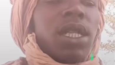 bccf89d5 a823 49f8 904e 2890853c266c