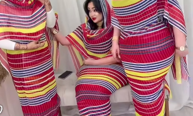 c8eb97c6 7c41 4837 bf28 80673b057037