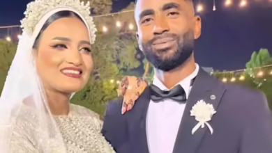 cf537ba5 f8ac 4833 a68d bc8c639639fb