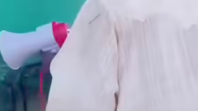 daaea74f 1031 4ecf a4ed e95ddd38c765