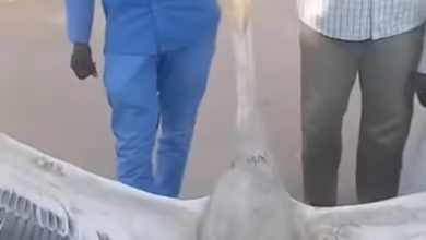 de71acc2 98f9 4e62 b616 8d04e39dbf75