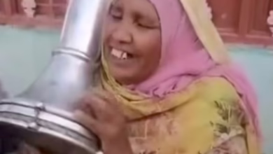 f60ab963 e46e 44fb 8504 11d6162e3b1d