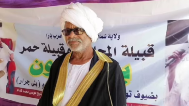 ناظر قبيلة المجانين