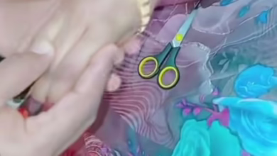 151cee74 5078 4af8 b10a 55a1d9680c70