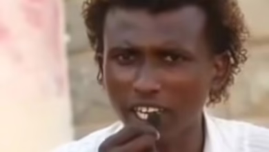 20dccea2 f127 4e80 886b fb66b6b95195