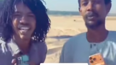 3d0f695f 76d5 4c70 bc8e b311c8c8f4cf