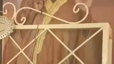 3f735a82 550e 4c80 bd0c 6ef7adf3c3cf