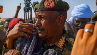 578269337 2086783468756763 4309111366256234191 n