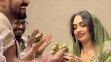 86113e63 a40d 4c63 9d87 47923375421b