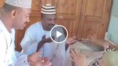 ad7e469d b994 4a22 9bbc 1b18f09c999a