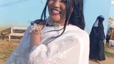 c5607433 8250 427e bb46 8b5b6c470215