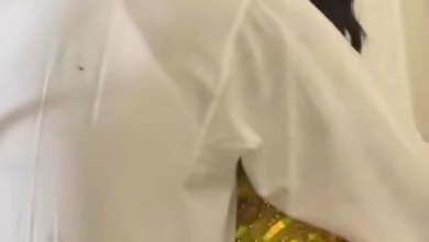 d0166134 7f66 4310 8076 35d9d27c9994