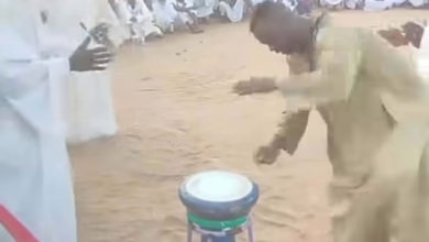 d0493329 2e06 46fd 985d d9c9e2c8c492