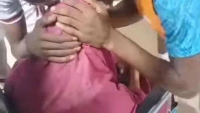 e47942bd dae3 4246 ba03 b24d94fdd14f