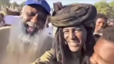 f5bcebfe c6e8 495c a0bc a3d732ebc138