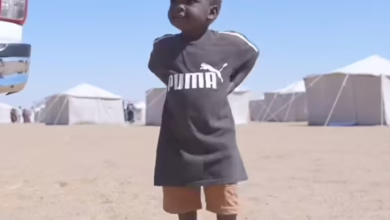 f8723979 4cfb 4008 8bab decb19d078be