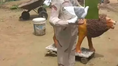 تمثال حميدتي