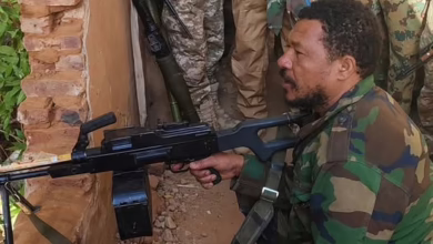 ذو النون الجيش