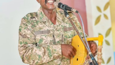 محمد النصري