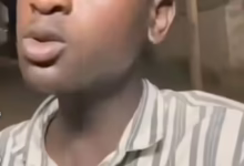 01e65e86 b432 4e59 ba5d 39fd303b74b6