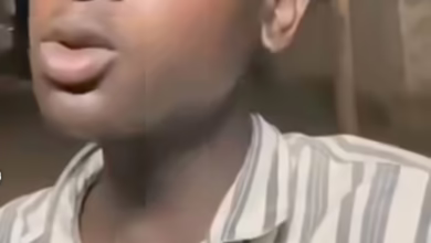 01e65e86 b432 4e59 ba5d 39fd303b74b6