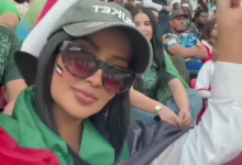 12d86b03 2669 4f3c b84d d365faae2d00