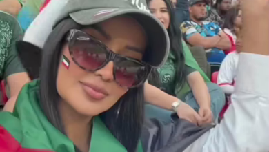 12d86b03 2669 4f3c b84d d365faae2d00